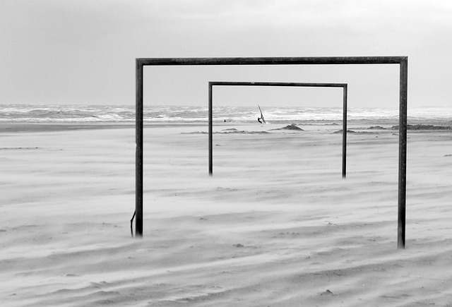 职业女性和 职业女性和