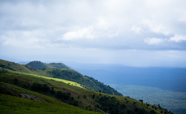 但却激发了 但却激发了