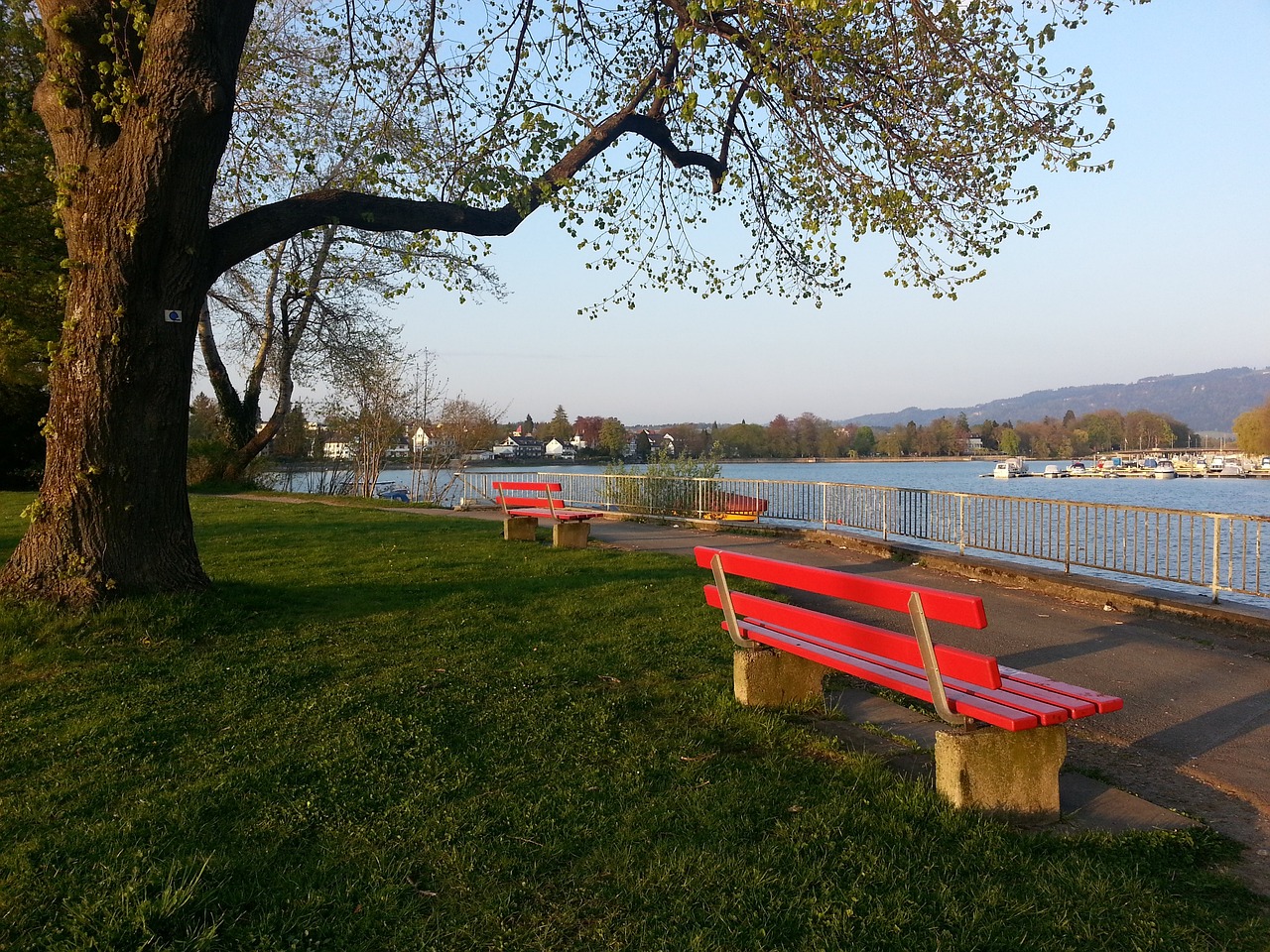 第一节便贡 第一节便贡