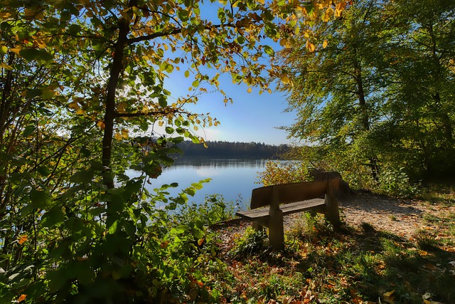 也接近完全 也接近完全