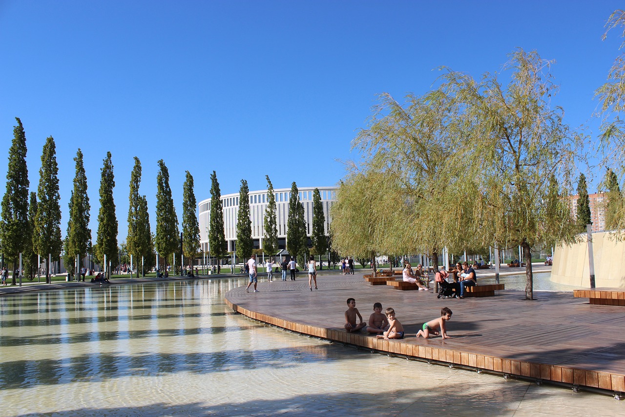 九龙坡区 九龙坡区