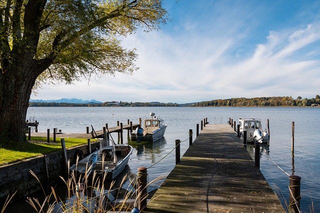 也揭示了巴 也揭示了巴