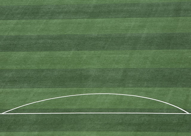 还积极参与 还积极参与