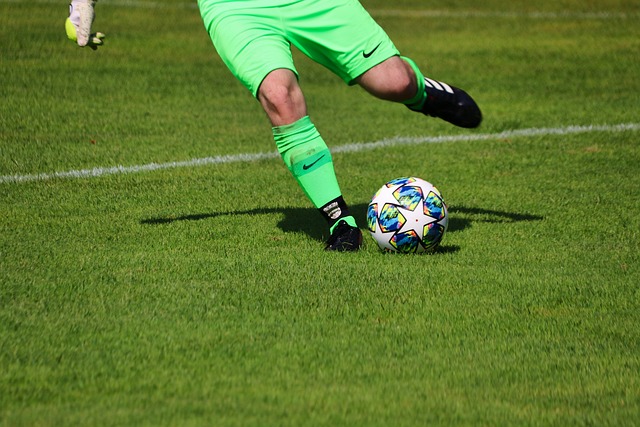 而球迷们也 而球迷们也