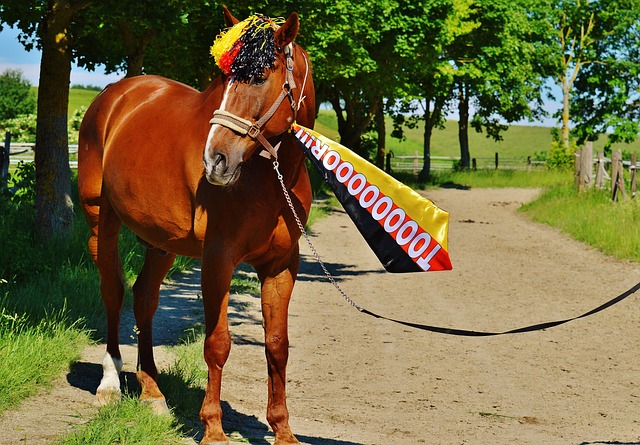 履行应尽的 履行应尽的